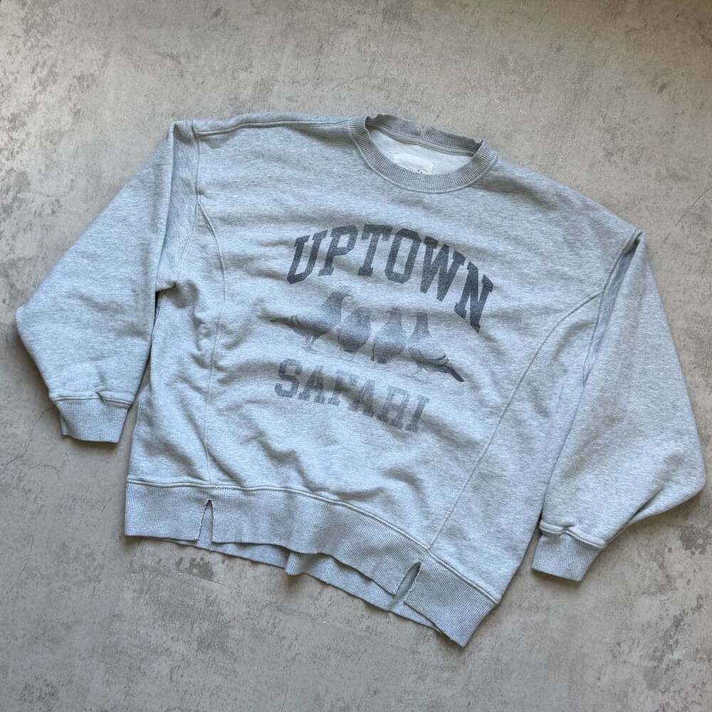 Aerie Uptown Safari Sweatshirt Size S Gray Pigeon Graphic